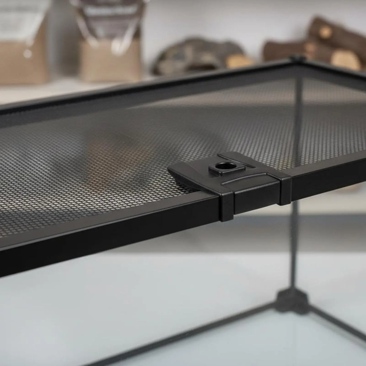 Glass Amphibian Terrarium Anti-Security - ProPawPet.com