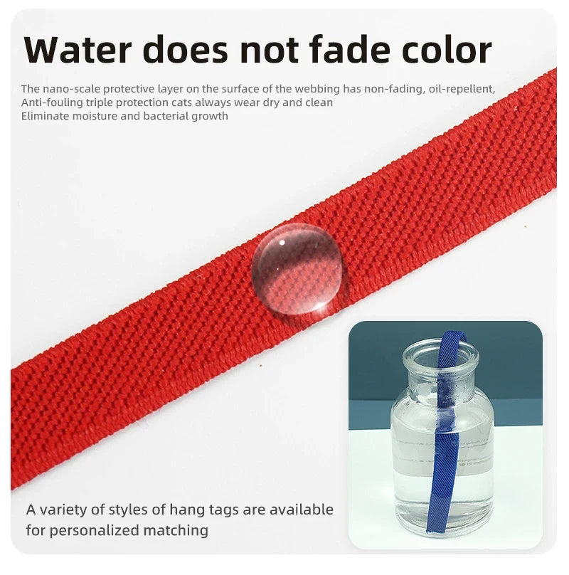 Fashion AirTag Cat Collar Elastic Customized - ProPawPet.com