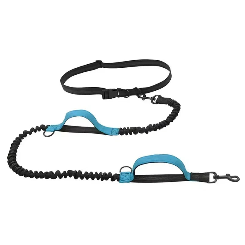 Outdoor Pet Dual Elastic Traction Rope, Reflective