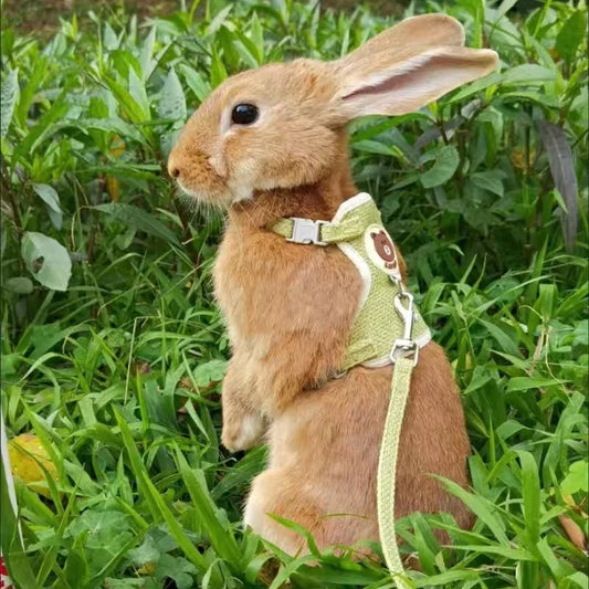 Newest Cute Rabbit Harness and Leash Set - ProPawPet.com
