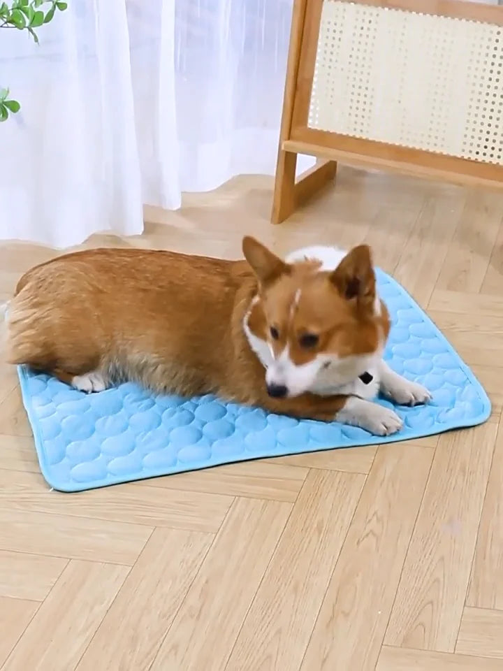 Summer Dog Cooling Mat Pet Ice Bed Durable - ProPawPet.com