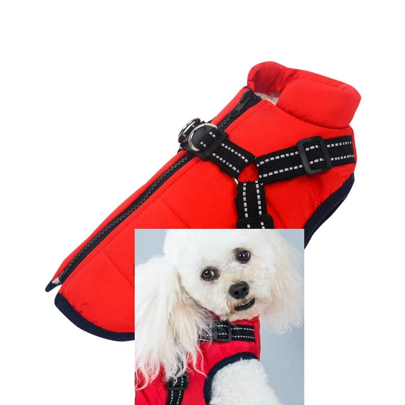 Customizable Winter Dog Clothes Collars, - ProPawPet.com