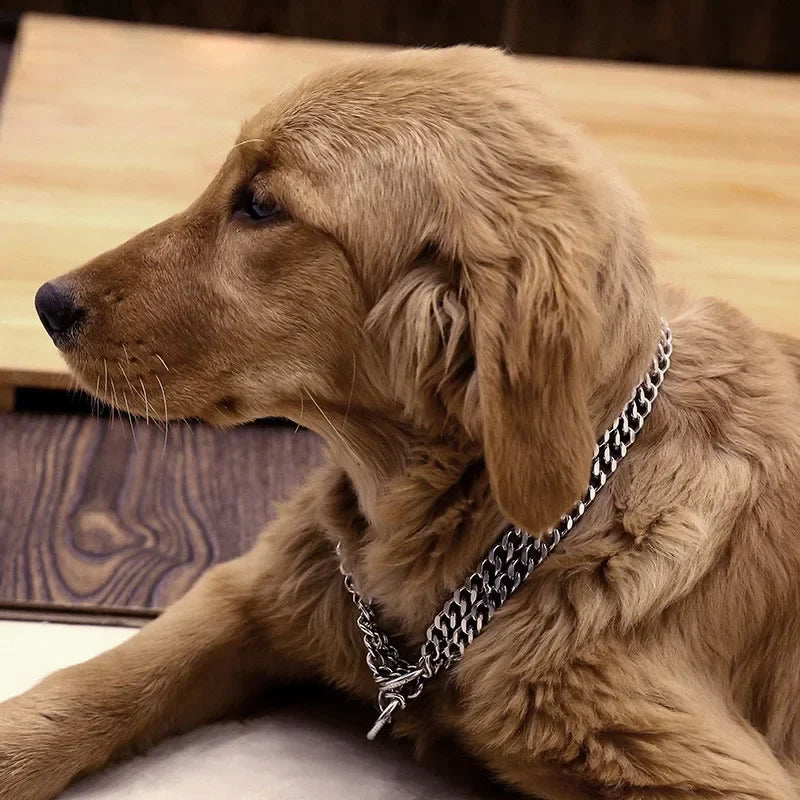 35-65cm Dog Collar Metal Adjustable Double - ProPawPet.com