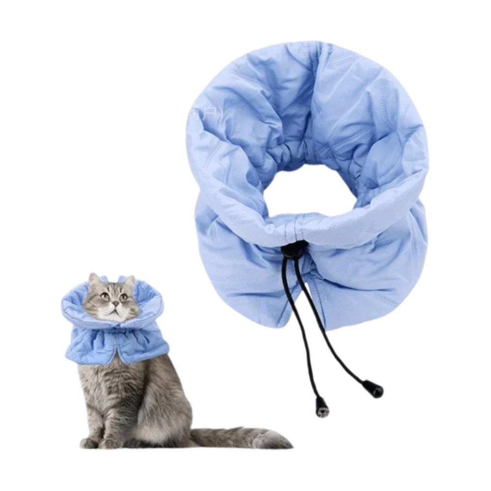 Cute Pet Collar Adjustable Comfortable Cat - ProPawPet.com