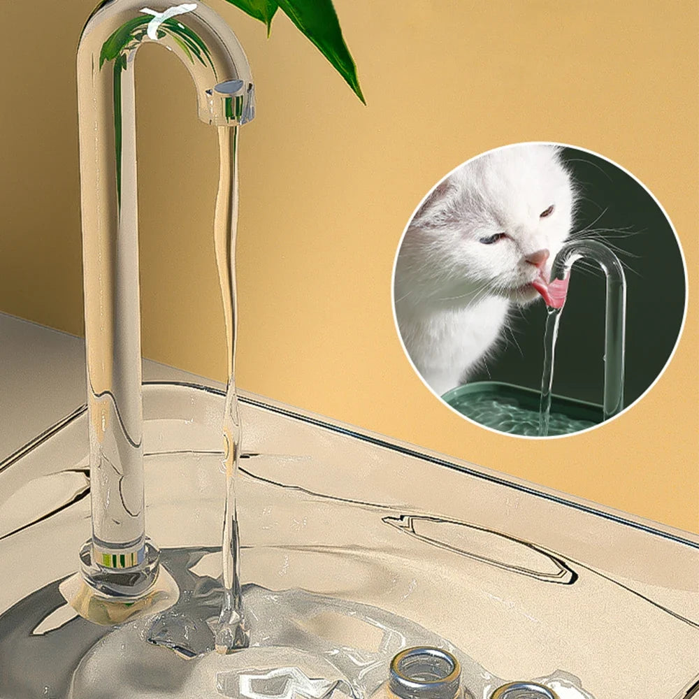 Cat Water Fountain Auto Filter Transparent - ProPawPet.com