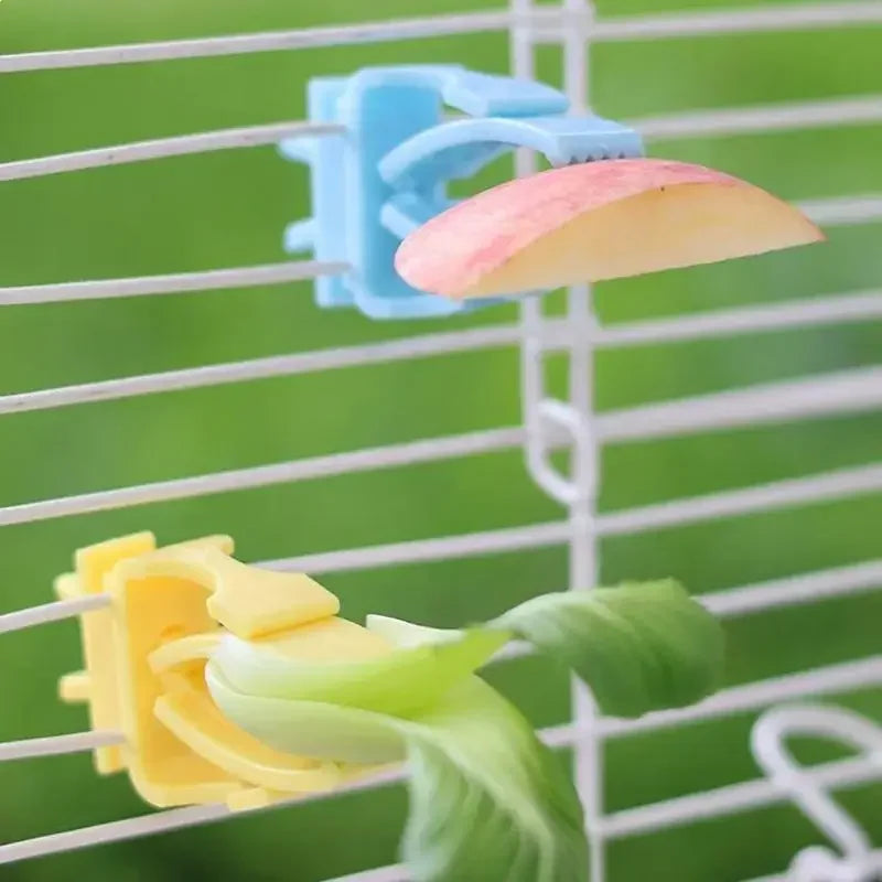 2/4Pcs Pet Bird Food Holder Parrot Fruits - ProPawPet.com