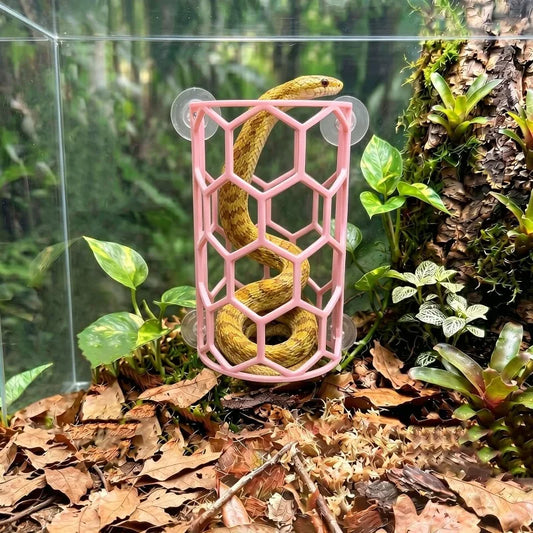 Reptile Honeycomb Climbing Shelf - ProPawPet.com