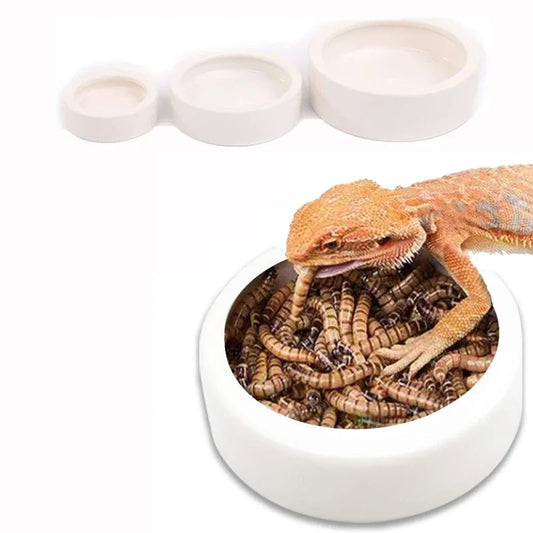 Reptile Water Food Bowl Anti-Escape Ceramic - ProPawPet.com