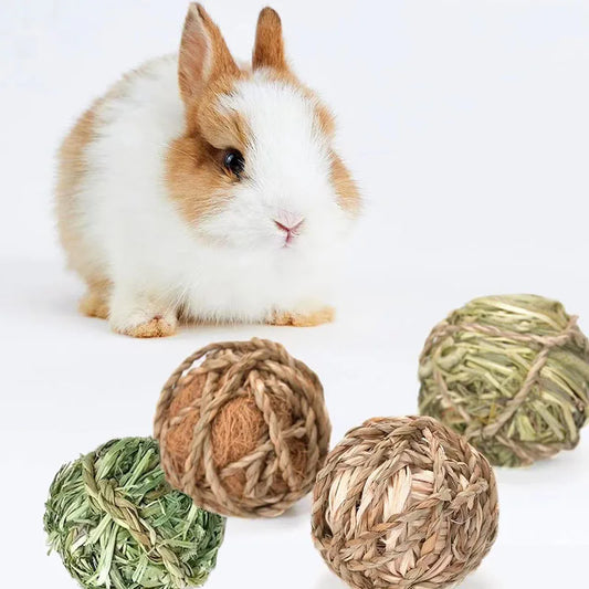 4/5pcs Chewing Braided Ball Guinea Pig - ProPawPet.com