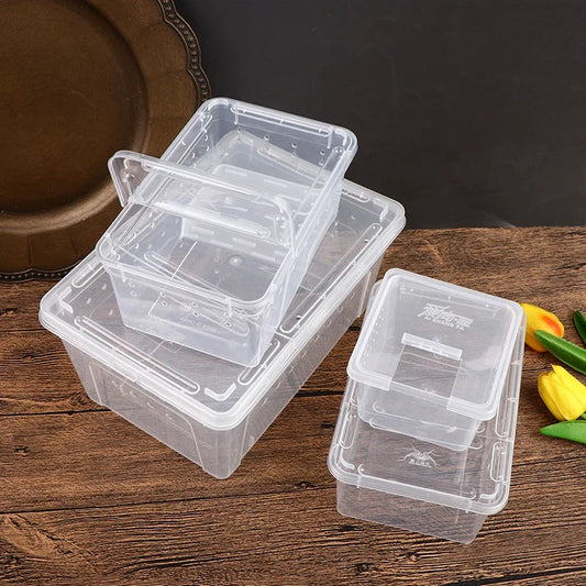 1PCS Reptile Tank Insect Spiders Tortoise - ProPawPet.com