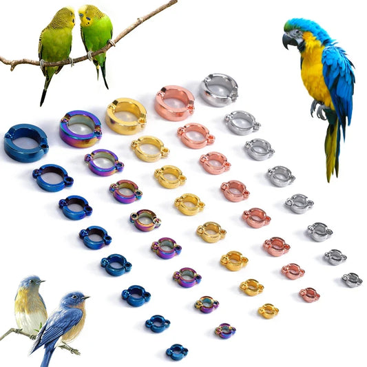 4-15mm Parrot Leg Ring Metal Pet Bird Leg - ProPawPet.com