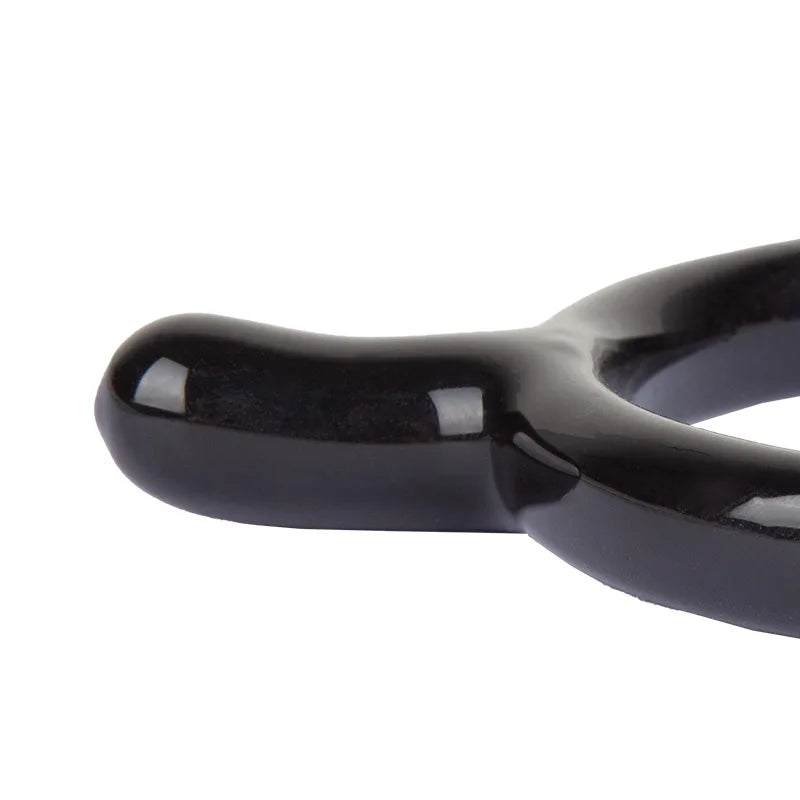 Cavassion Premium Series Equestrian Training - ProPawPet.com