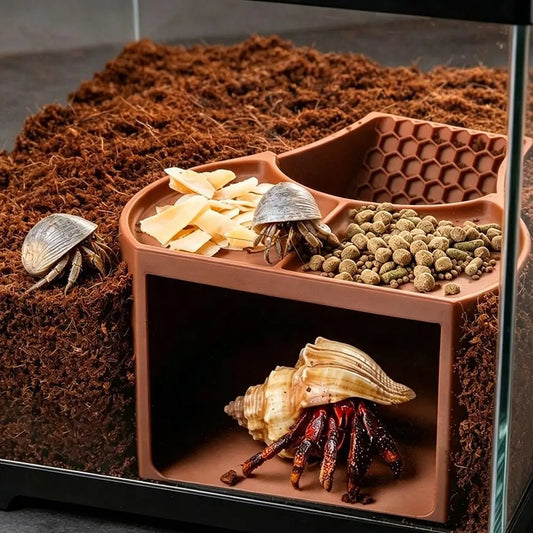 Double Food Dish Hermit Crab Tunnel Shelter - ProPawPet.com