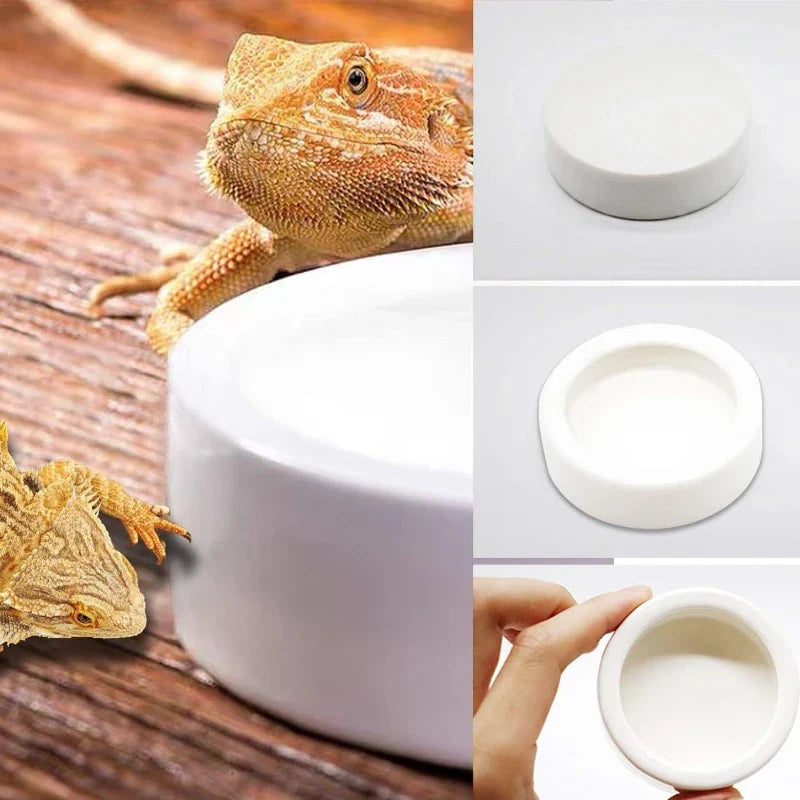 Reptile Water Food Bowl Anti-Escape Ceramic - ProPawPet.com