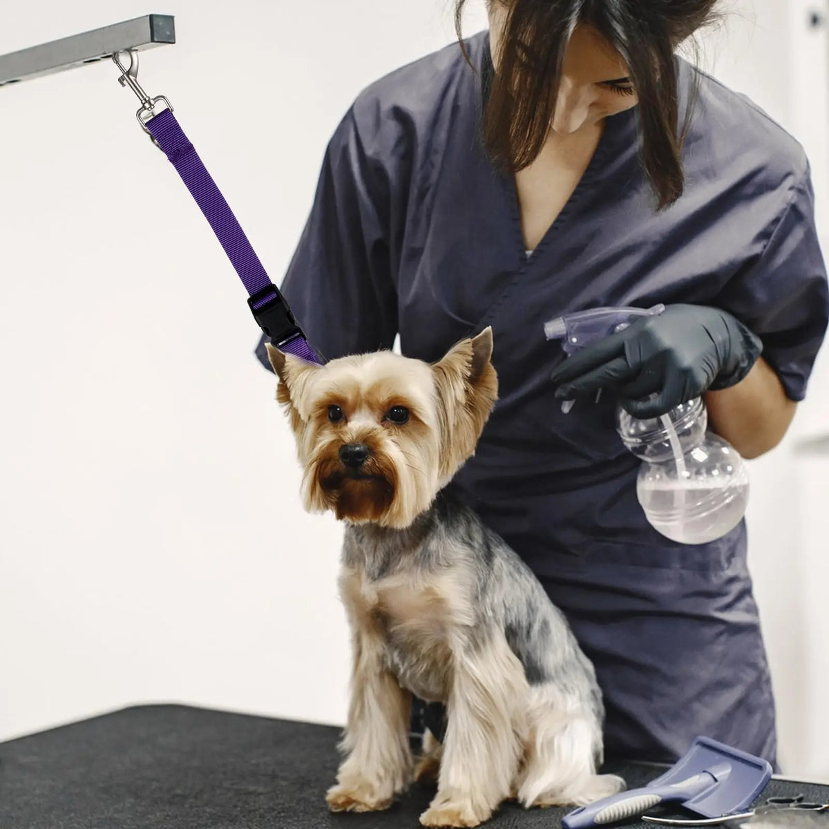 Adjustable Dog Grooming Safety Strap - ProPawPet.com