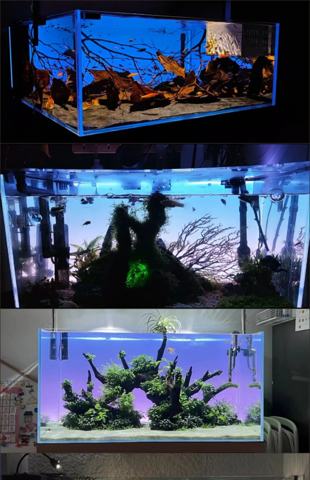 Fish Tank Background Light Board Rgbw - ProPawPet.com