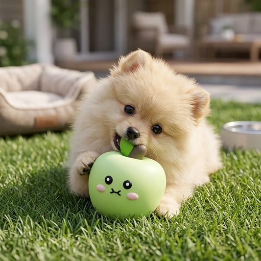Puppy Dog Chew Toy Anxiety Relief Natural - ProPawPet.com