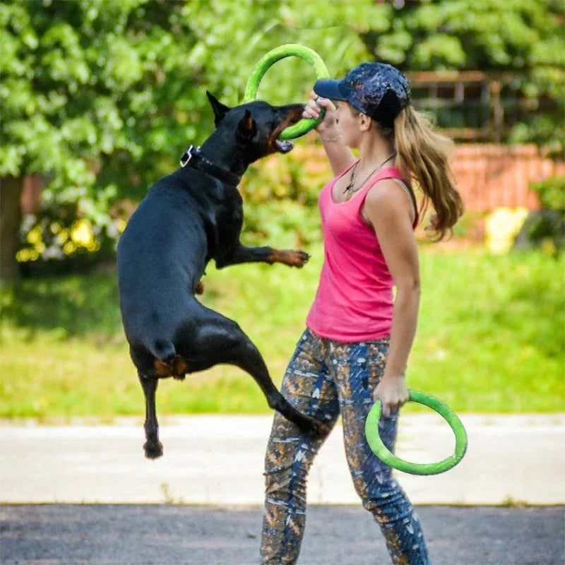 Dog Toys Pet Flying Discs EVA Dog Training - ProPawPet.com