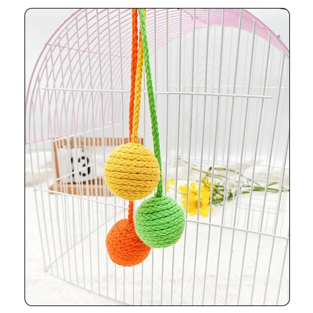 Durable Cat Teaser Toy Hanging Non-toxic - ProPawPet.com