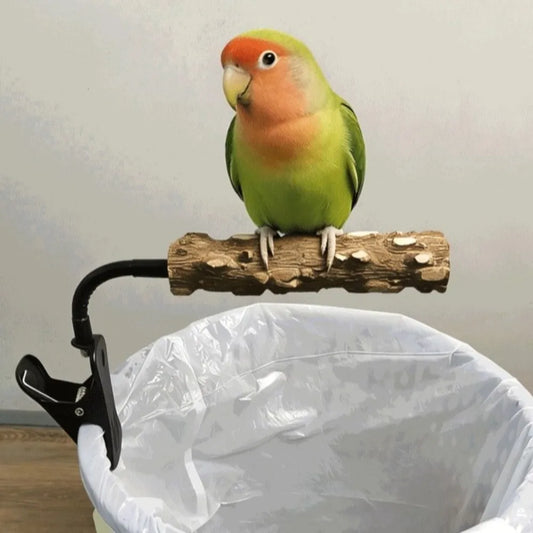 New Wooden Parrot Perch Stand Bendable - ProPawPet.com