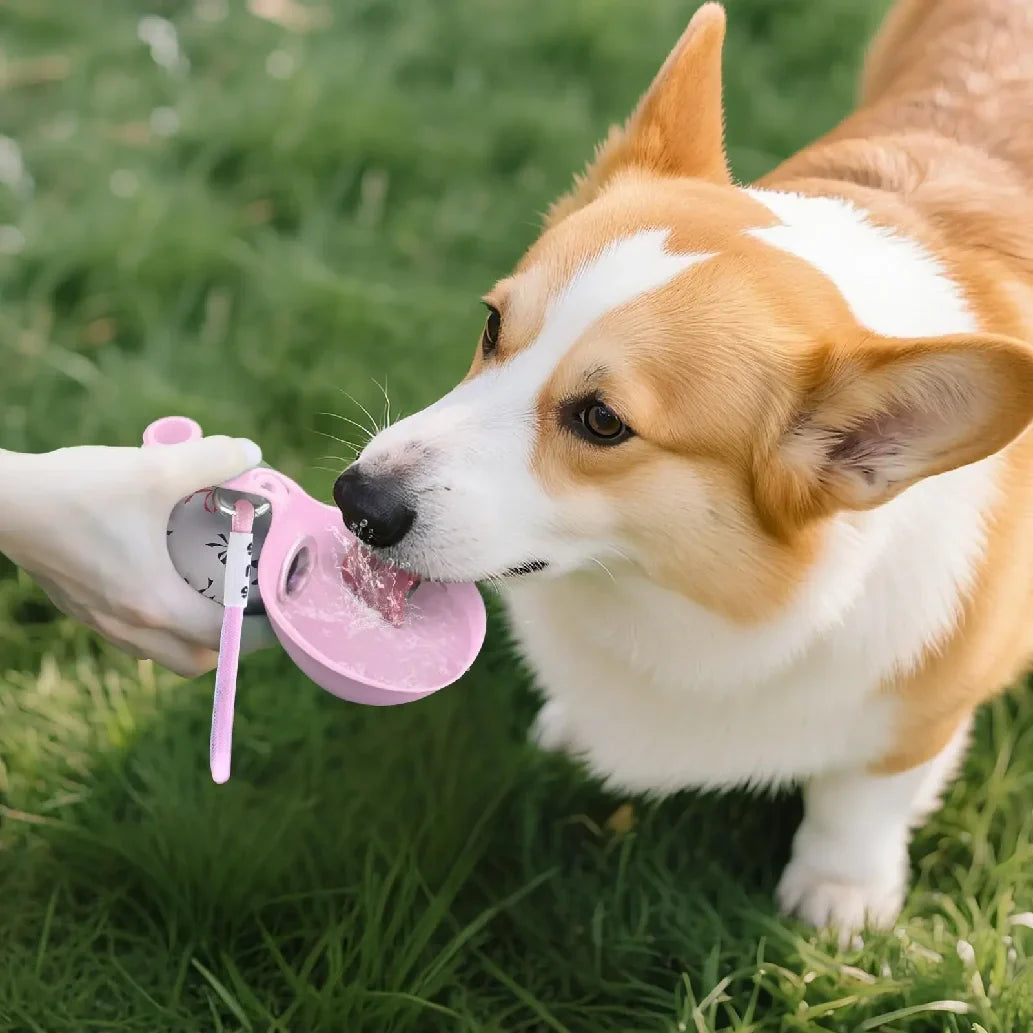 2-in-1 Portable Dog Water Bottle for Small - ProPawPet.com