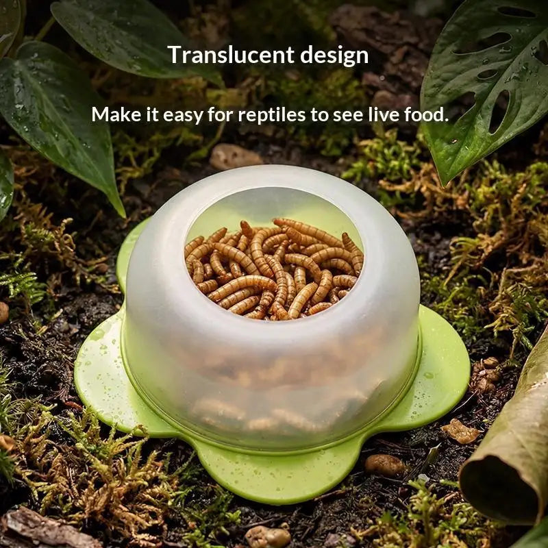 Œ1Pc ABS Reptile Feeding Dish Anti Escape - ProPawPet.com