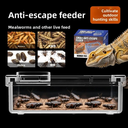 Reptile Lizards Geckos Feeding Bowls Prevent - ProPawPet.com
