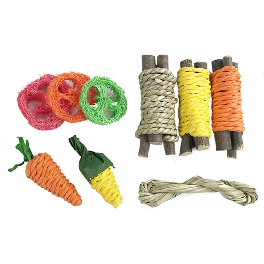Rabbit Guinea Pig Dragon Cat Fun Toy – Small Pet Supplies