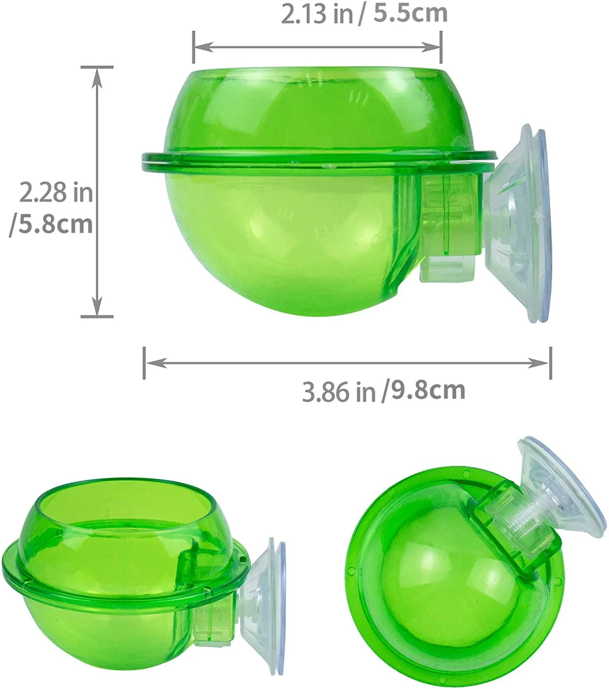 Reptile Feeder Chameleon Feeding Food Dish – 3 Sizes