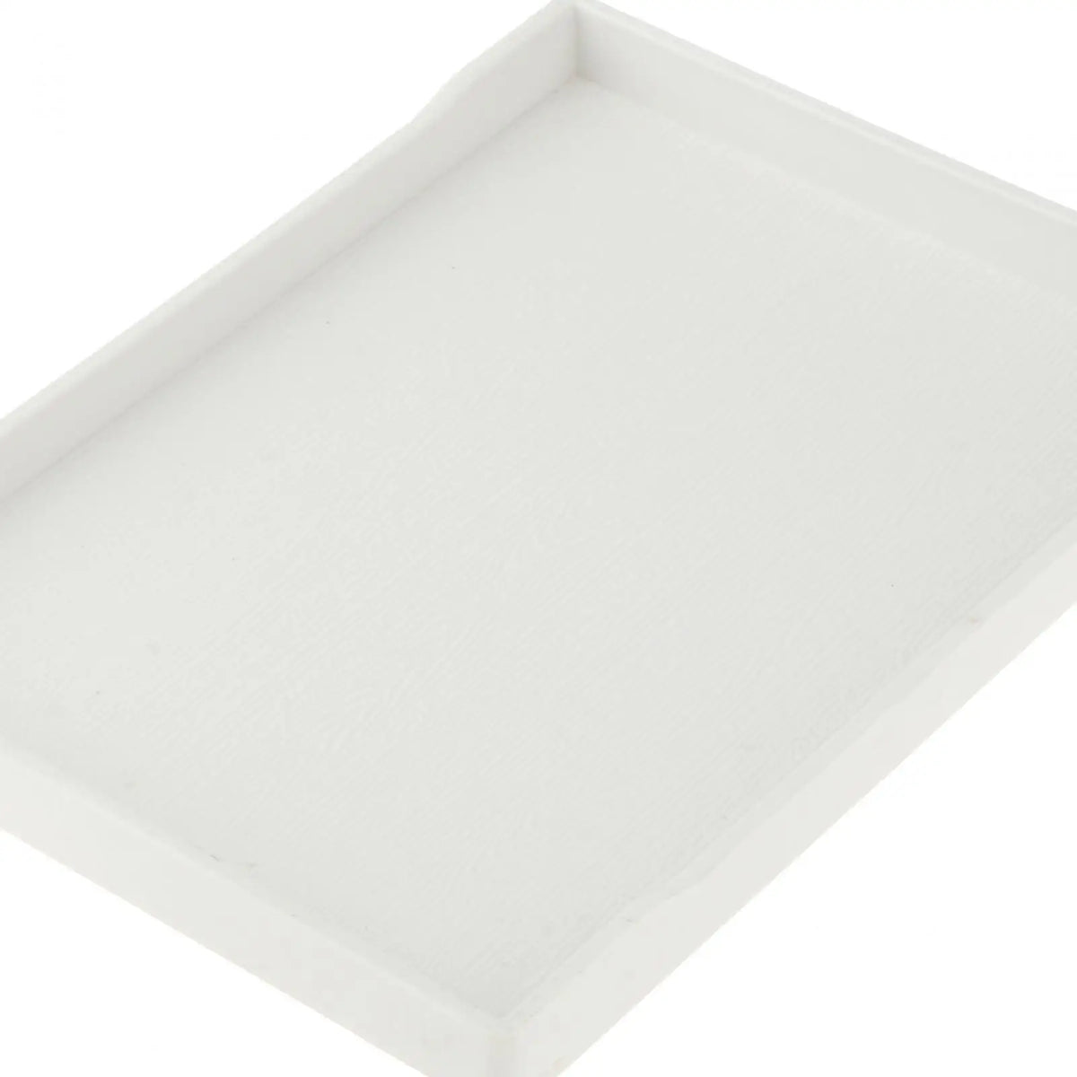 Reptile Water Bowl Terrarium Bowl Turtle - ProPawPet.com