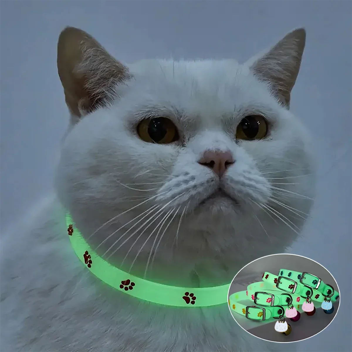 Cat Collar Glow in the Dark Footprint Cute - ProPawPet.com