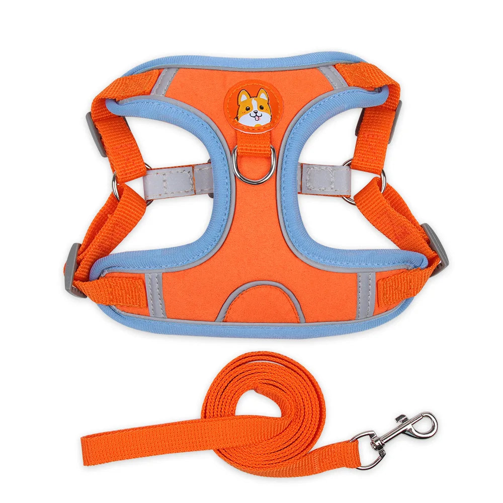 Cat Harness Small Dog Leash Pomeranian Puppy - ProPawPet.com