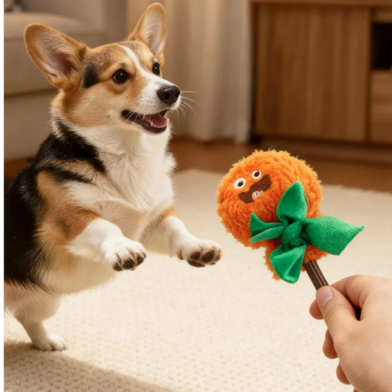Halloween Plush Dog Toy With Squeaker Bite - ProPawPet.com