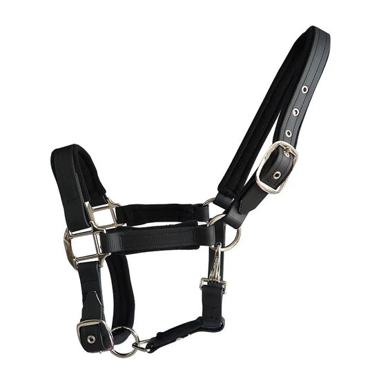 New Soft Padded Horse Halter Bridle PVC - ProPawPet.com