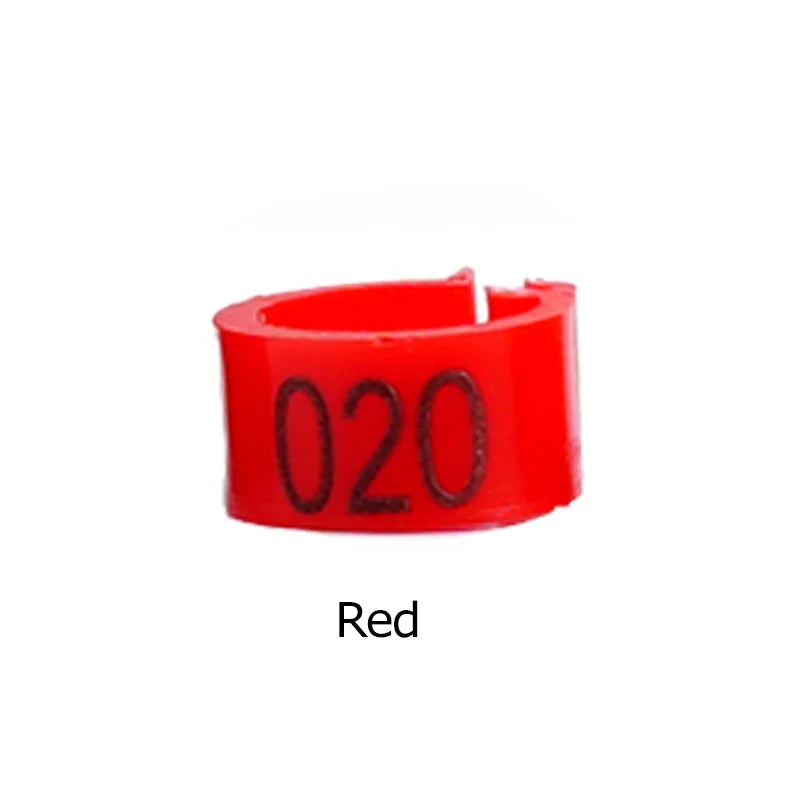 100Pcs Pigeon Foot Ring Feeding Supplies - ProPawPet.com