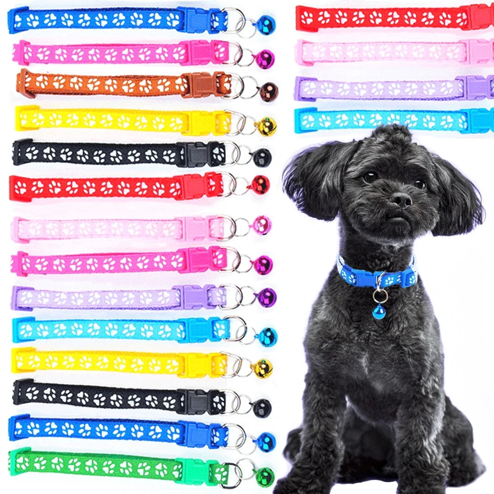 Colorful Pet Pattern Small Dog and Cat - ProPawPet.com