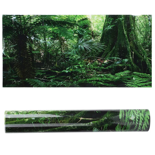 PVC Reptile Box Rainforest Background Poster - ProPawPet.com