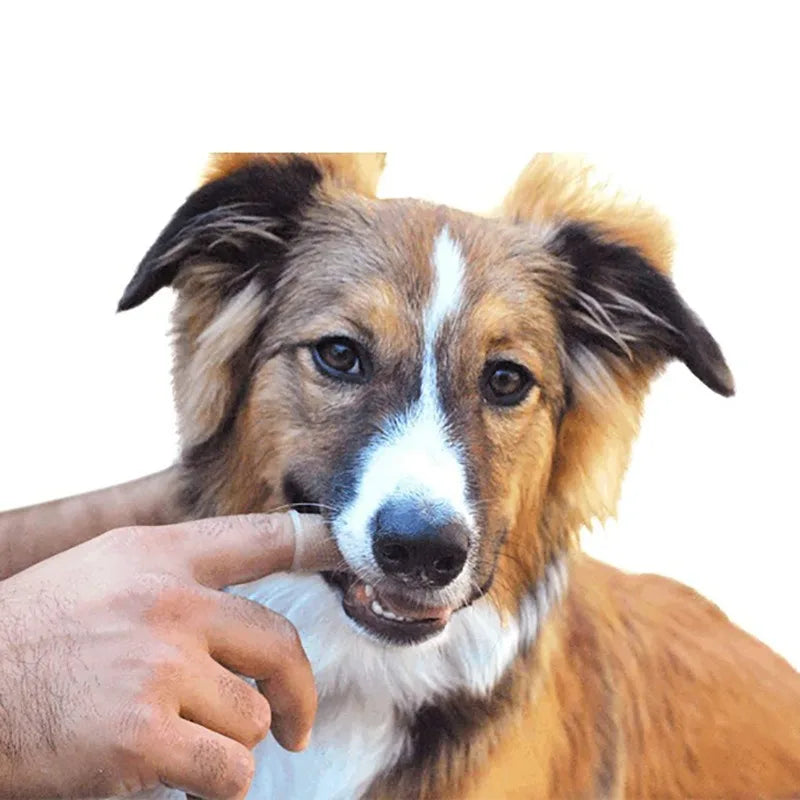 Pet Finger Toothbrush Dog Cat Teeth Cleaning - ProPawPet.com