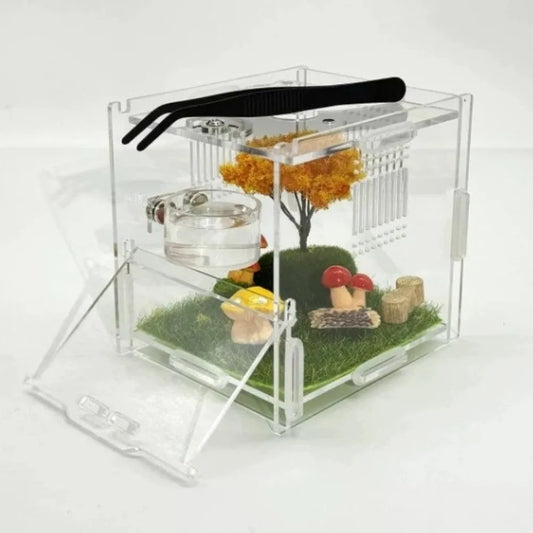 Small Bowl Set Magnetic Feeding Dish - ProPawPet.com