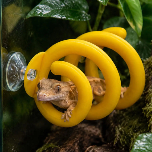 Reptile Spiral Climbing Branch Toy with - ProPawPet.com