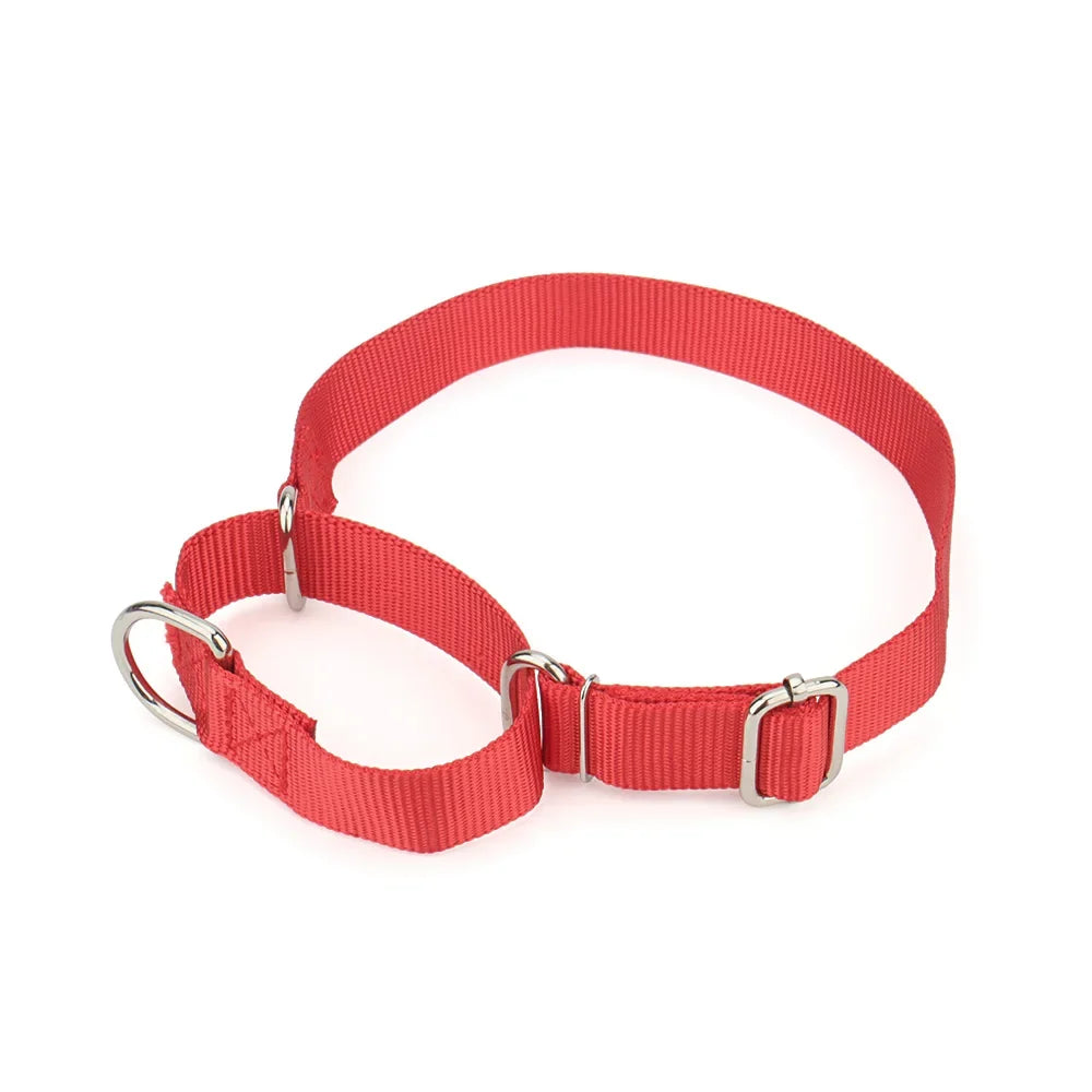 Martingale Collar for Dogs，Dog Collar with - ProPawPet.com