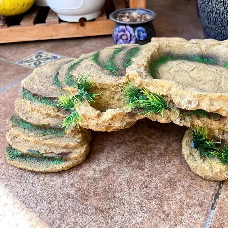 Turtle Platform Rectangular Aquarium Fish - ProPawPet.com