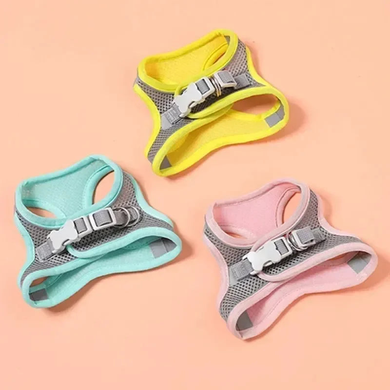 Cats Dog Accessories Small Dog Collar Safety - ProPawPet.com