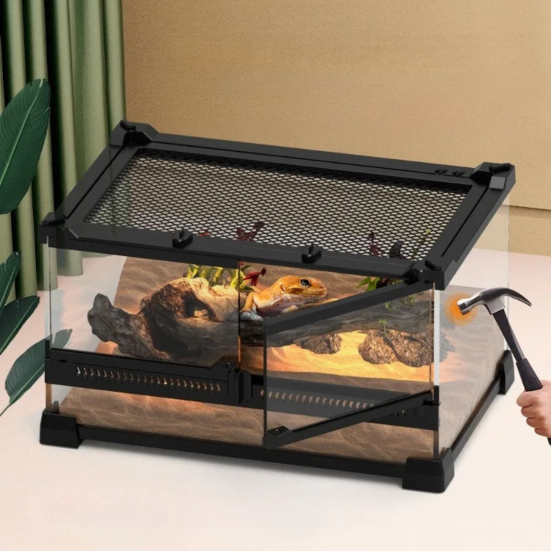 Glass Lizard Terrarium Lizard Supplies Large - ProPawPet.com