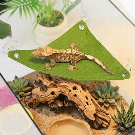 Reptile Play Suction Cup Lizard Triangle - ProPawPet.com