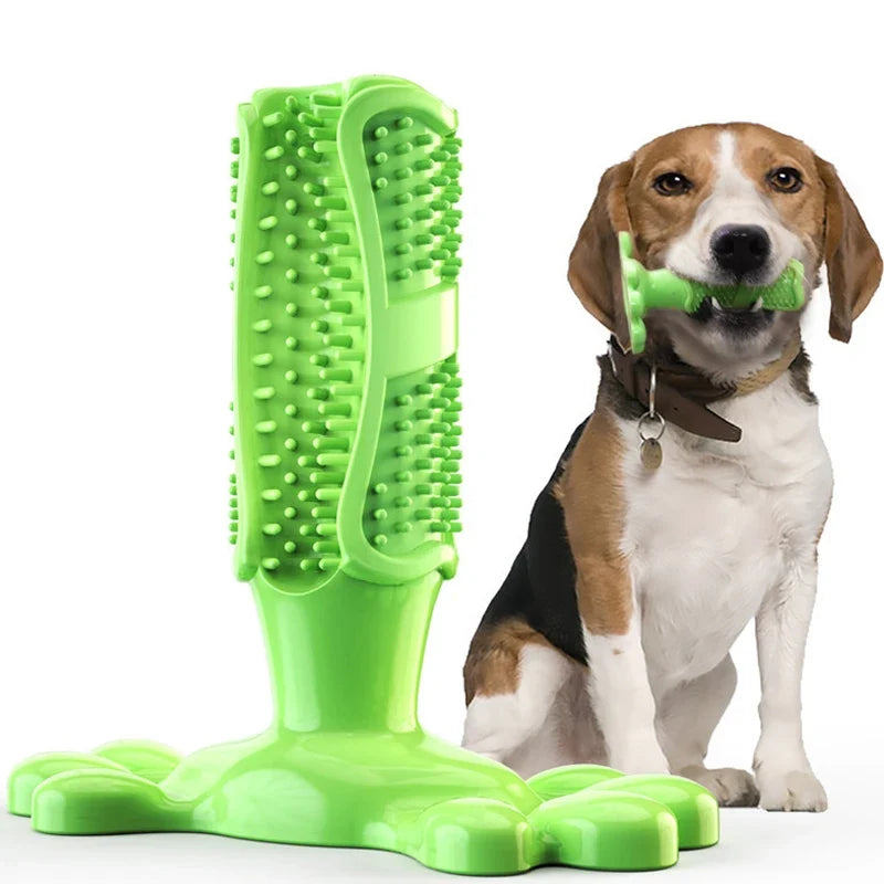 Pet Dog Cactus Interactive Rubber Bite - ProPawPet.com