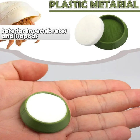 6pcs Portable Reusable Reptile Feeding Dish - ProPawPet.com