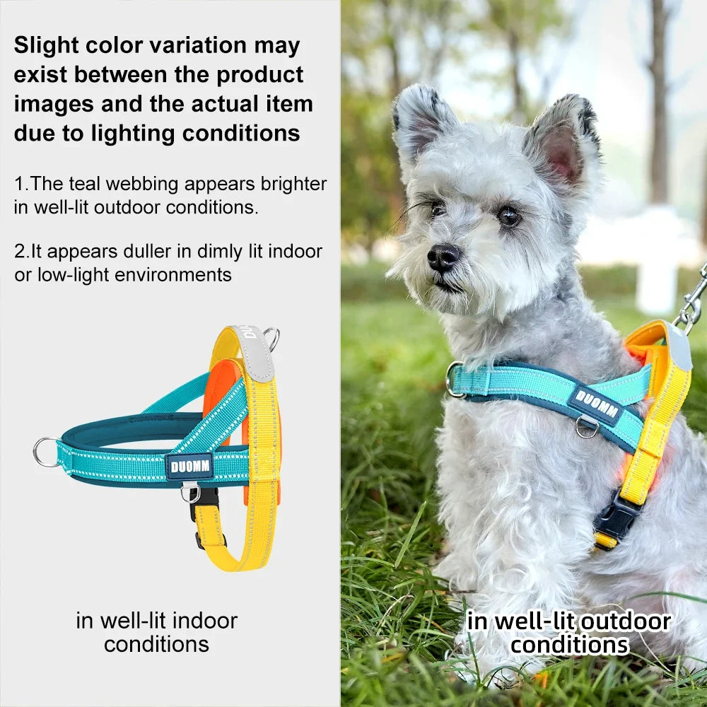Dog Harness No Pull T-Shape Breathable - ProPawPet.com