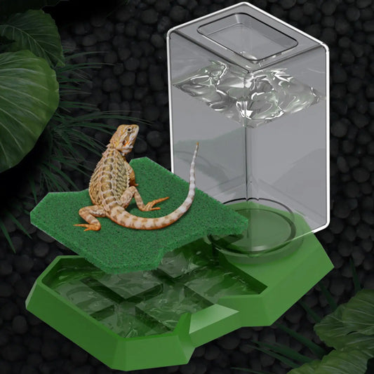 Reptile Water Dispenser Reptile Water Dish - ProPawPet.com