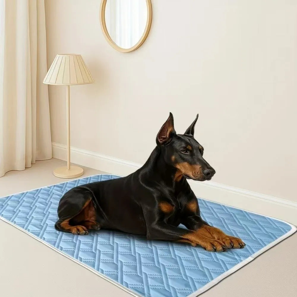 New Summer Dog Cooling Mat Comfortable Ice - ProPawPet.com